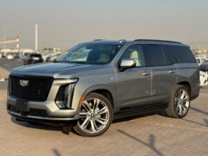 2025 Cadillac Escalade 600 6.2L V8 Petrol – Silver Exterior / White Interior